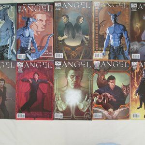 ANGEL: AFTER THE FALL - TWENTY-SEVEN (27) ISSUE COMIC BOOK LOT - IDW PUBLISHING